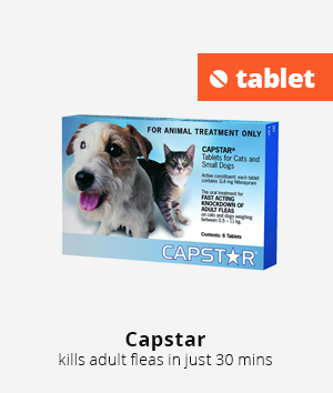 Capstar