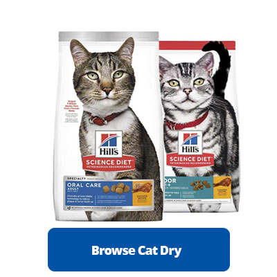 browse cat dry