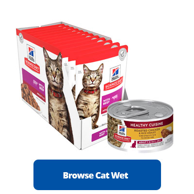 browse cat wet