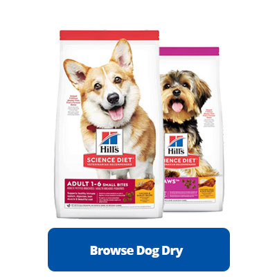 Browse dog dry