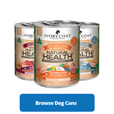 best price ivory coat 13kg