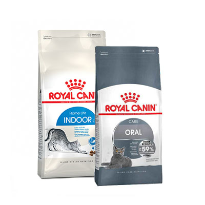Royal Canin Dry Cat Food