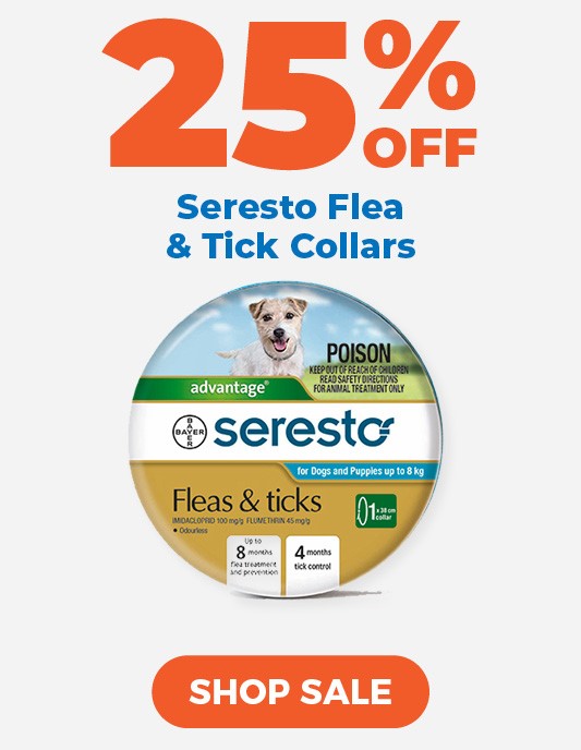 20% Off Yours Droolly Treats