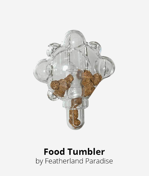 food tumbler by featherland paradise