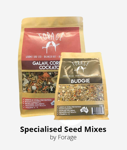 specialised bird seeds by forage