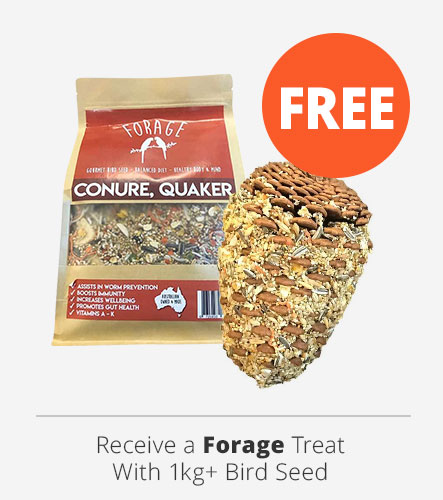 free pinecone treat with forage bird seed