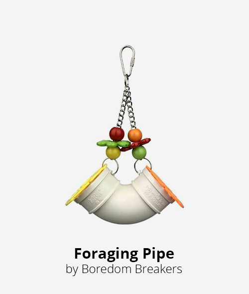 foraging pipe by boredrom breakers
