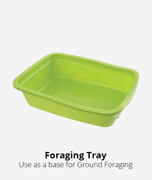 foraging litter tray by go potty - used for ground foraging