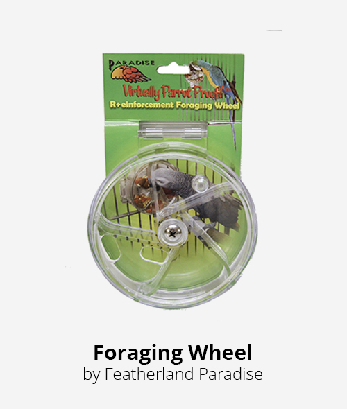 foraging wheel by featherland paradise