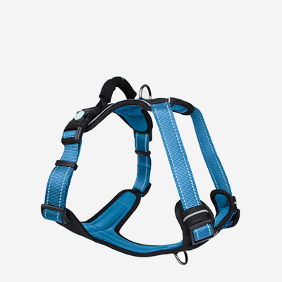 Dog Leads, Collars, and Harnesses | Afterpay | Pet City Mt Gravatt