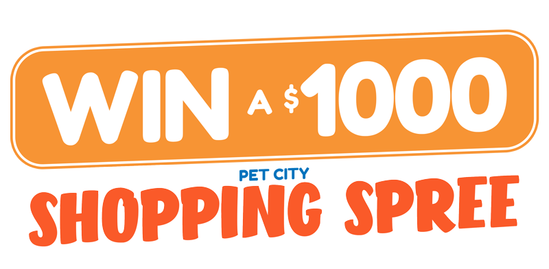 Win a $1000 Pet City Spending Spree