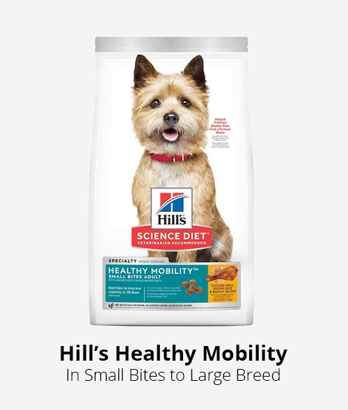hills science diet healthy mobility dog food