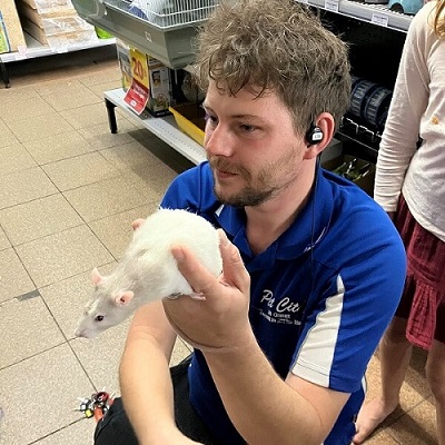 Pet White Rat