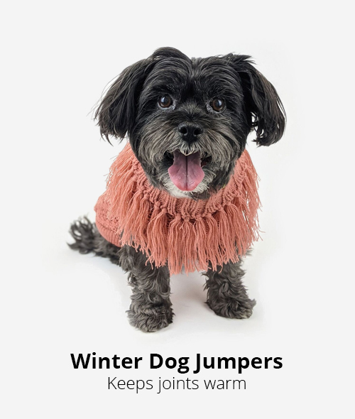 winter dog jumpers to keep joints warm