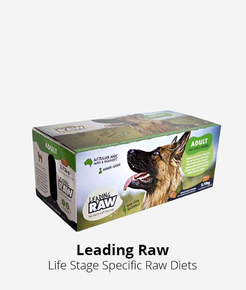 leading raw life stage specific raw dog food