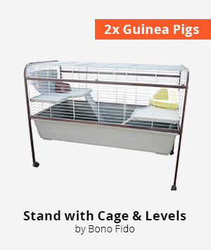 large cage with levels