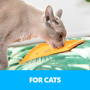 LickiMats for Cats