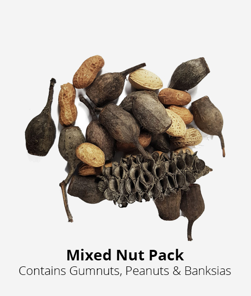 mixed nut pack containing peanuts, banksias and gumnuts