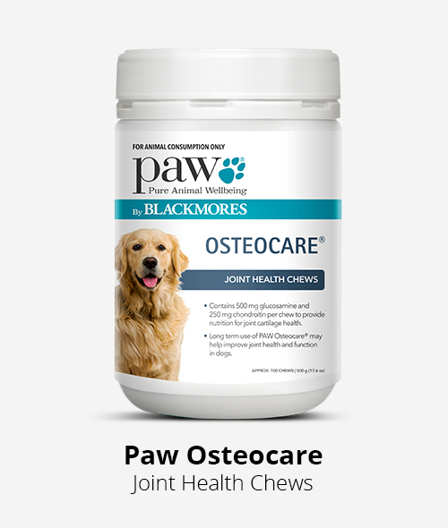 Paw Osteocare chews