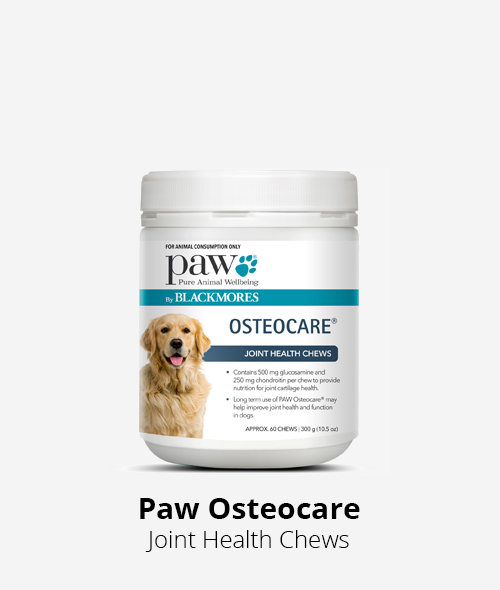 Paw Osteocare joint support chews