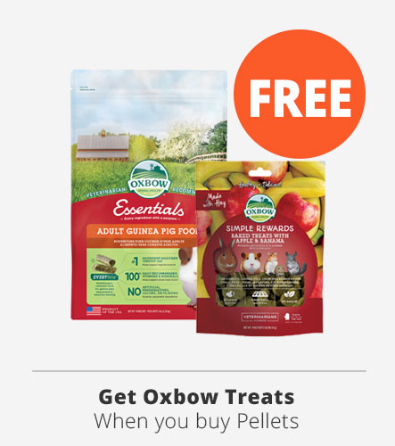 free oxbow treats when you buy pellets
