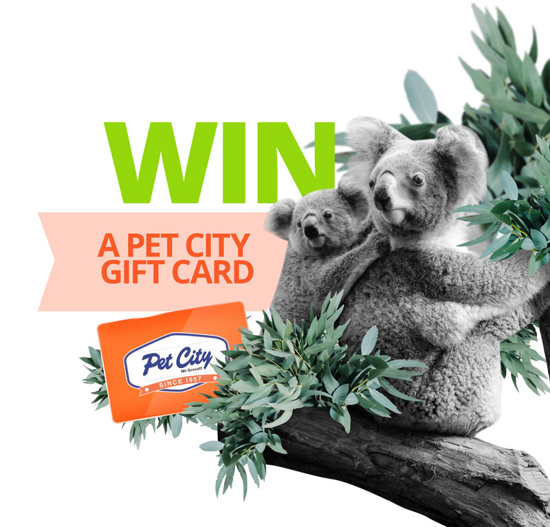 Win a Pet City Gift Card