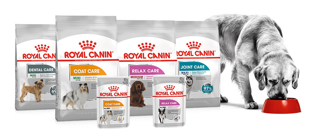Royal Canin New Dental Relax Coat Light Urinary Care Dog Food