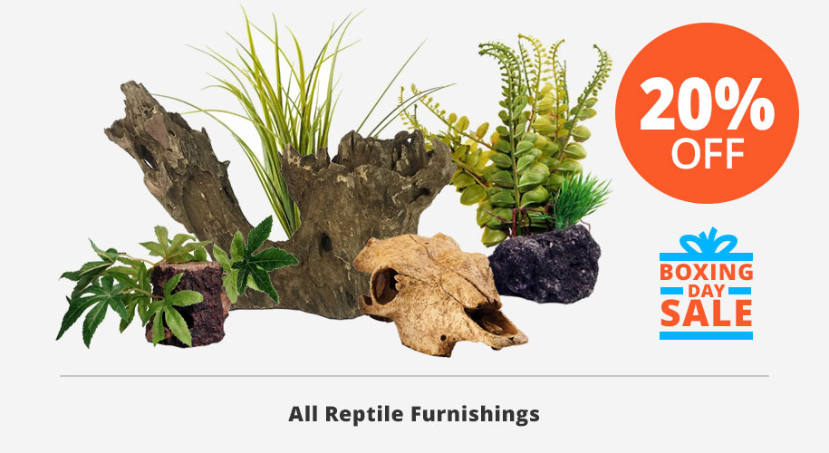 20% off all reptile furnishings