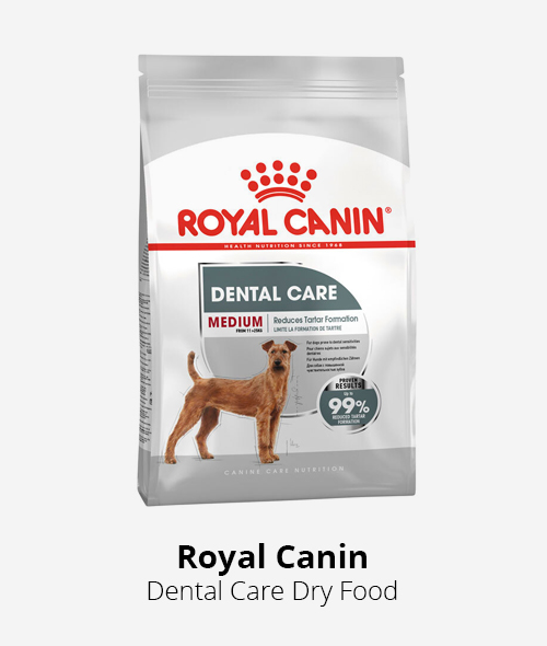 royal canin dental care dry dog food