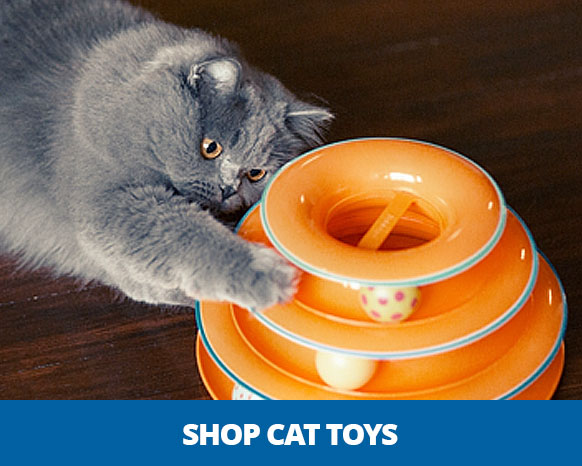 Shop Grain Free Cat Food
