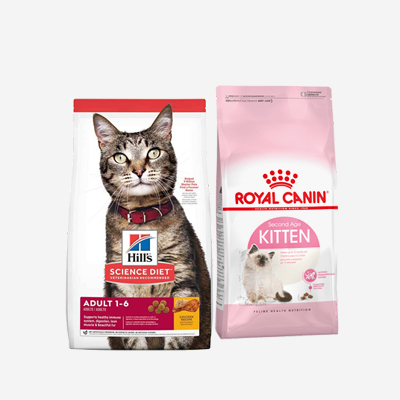 super premium scientific based dry cat foods