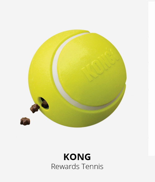 kong rewards tennis toy