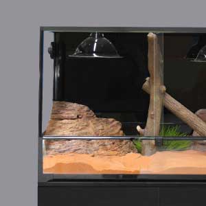 afterpay reptile enclosure