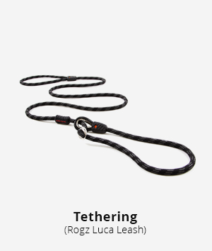 Tethering