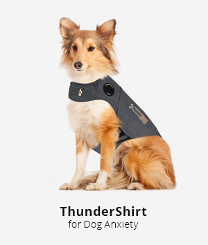 Thundershirt