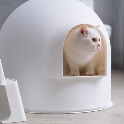 Cat Toiletting
