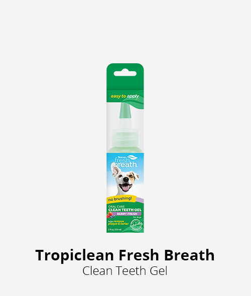 Tropiclean fresh breath clean teeth gel