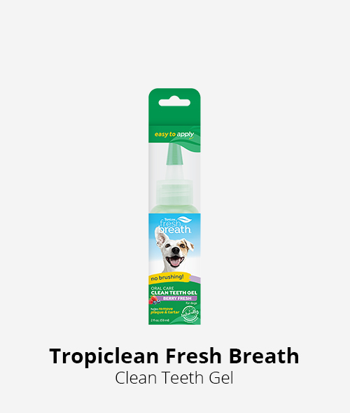 Tropiclean fresh breath clean teeth gel