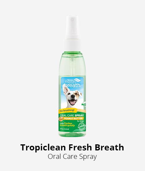 Tropiclean fresh breath oral care spray