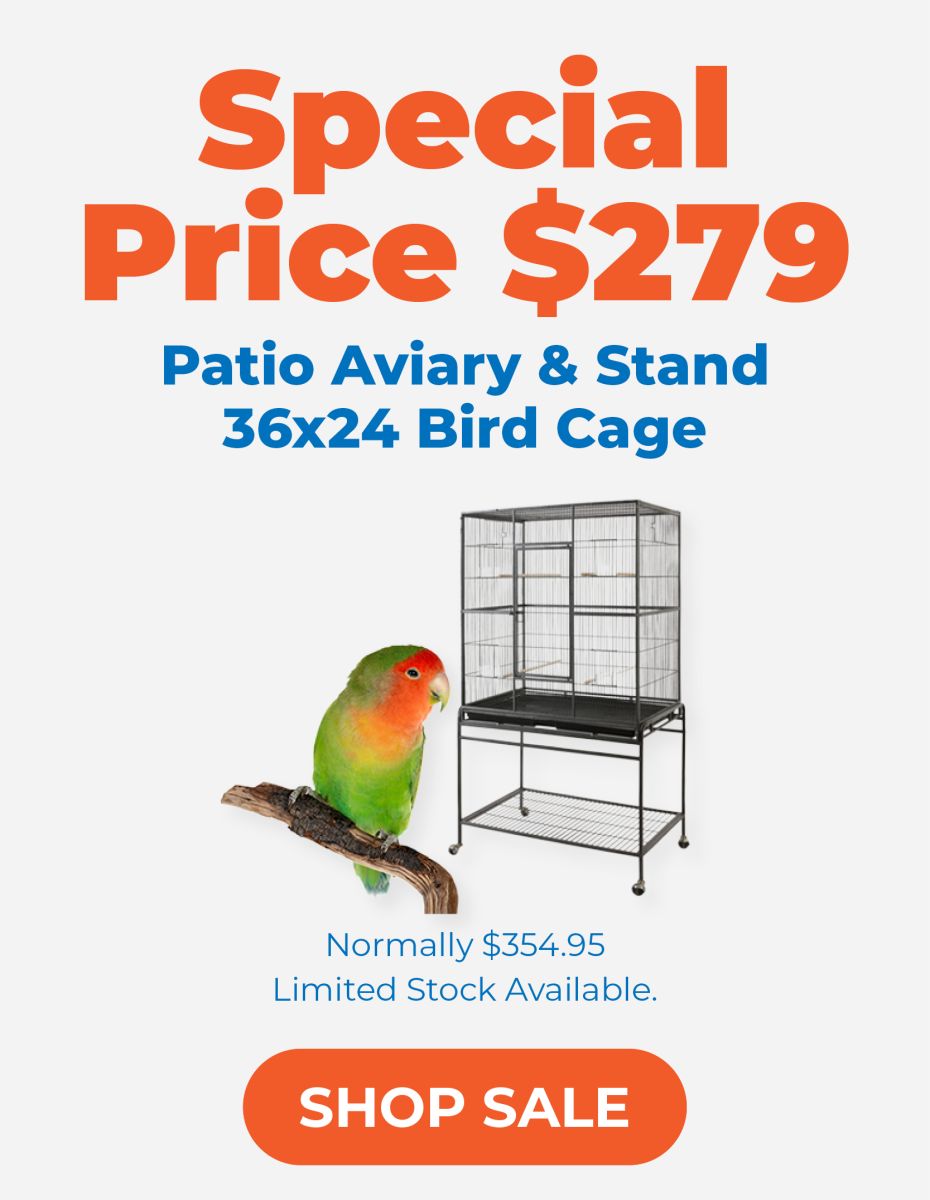 Patio Aviary & Stand 