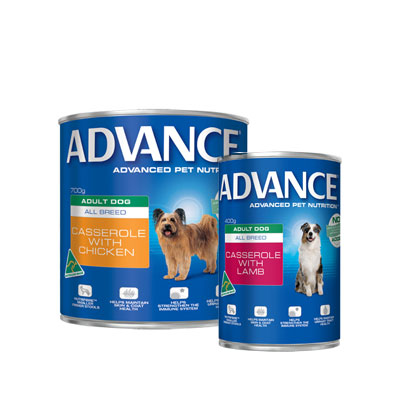 Advance Wet Dog Food