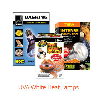 UVA White Light Heat Lamps