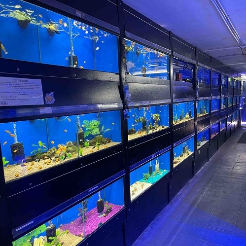 Pet City Aquarium Fish Tanks