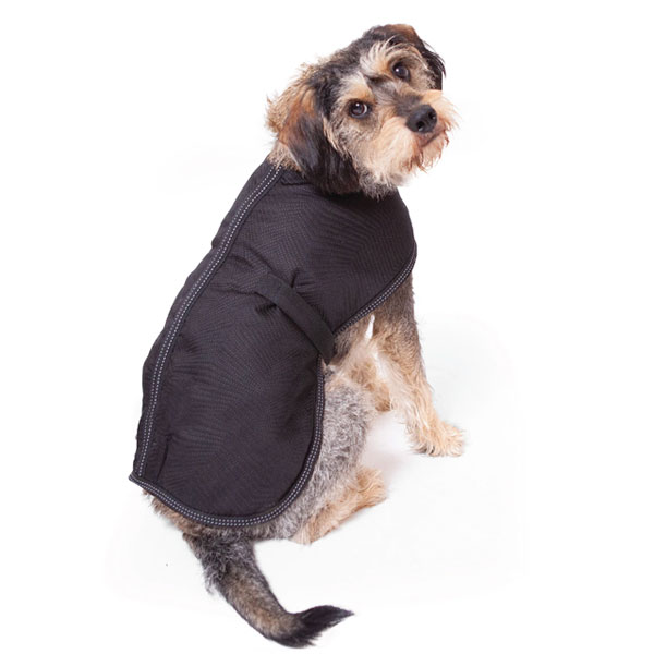 kazoo adventure coat black