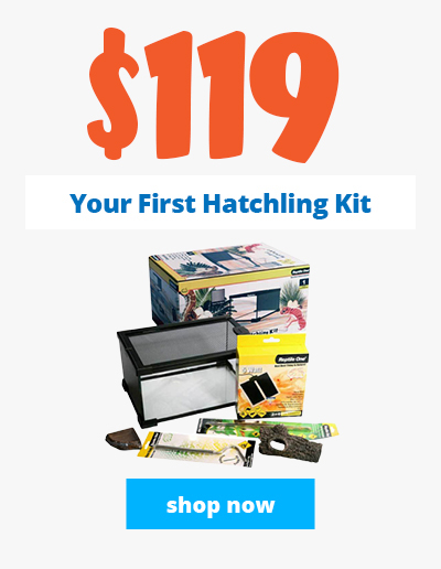 Reptile Hatchling Kit $119