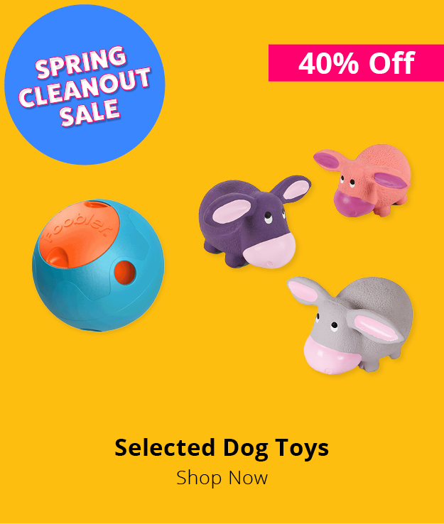 40% off selected dog toys
