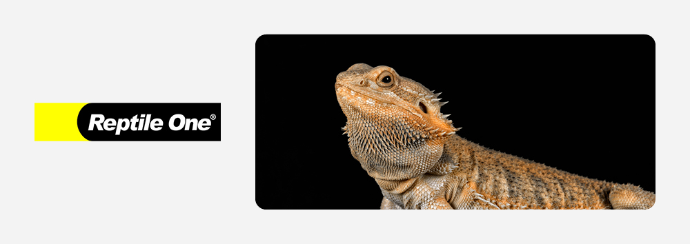 reptile one on sale up to 20% off
