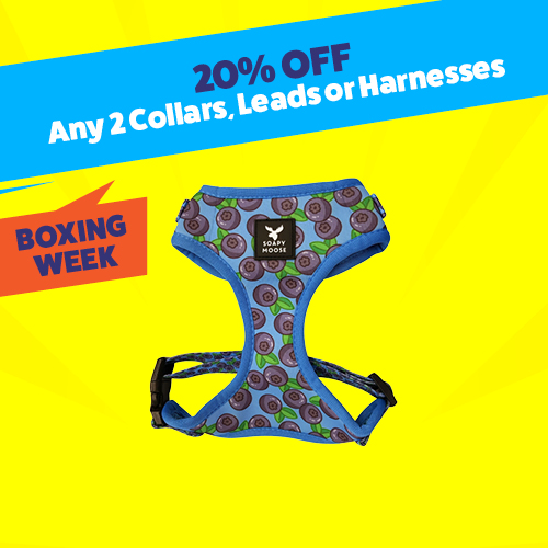20% off any 2 collars, leads or harnesses
