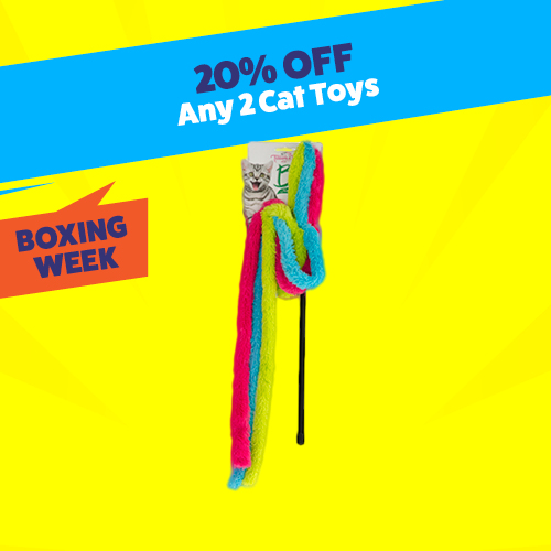 buy 2 get 20% Off Cat toys