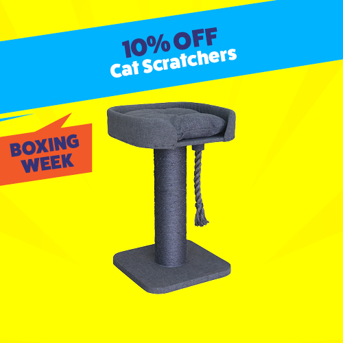 10% off all cat scratchers